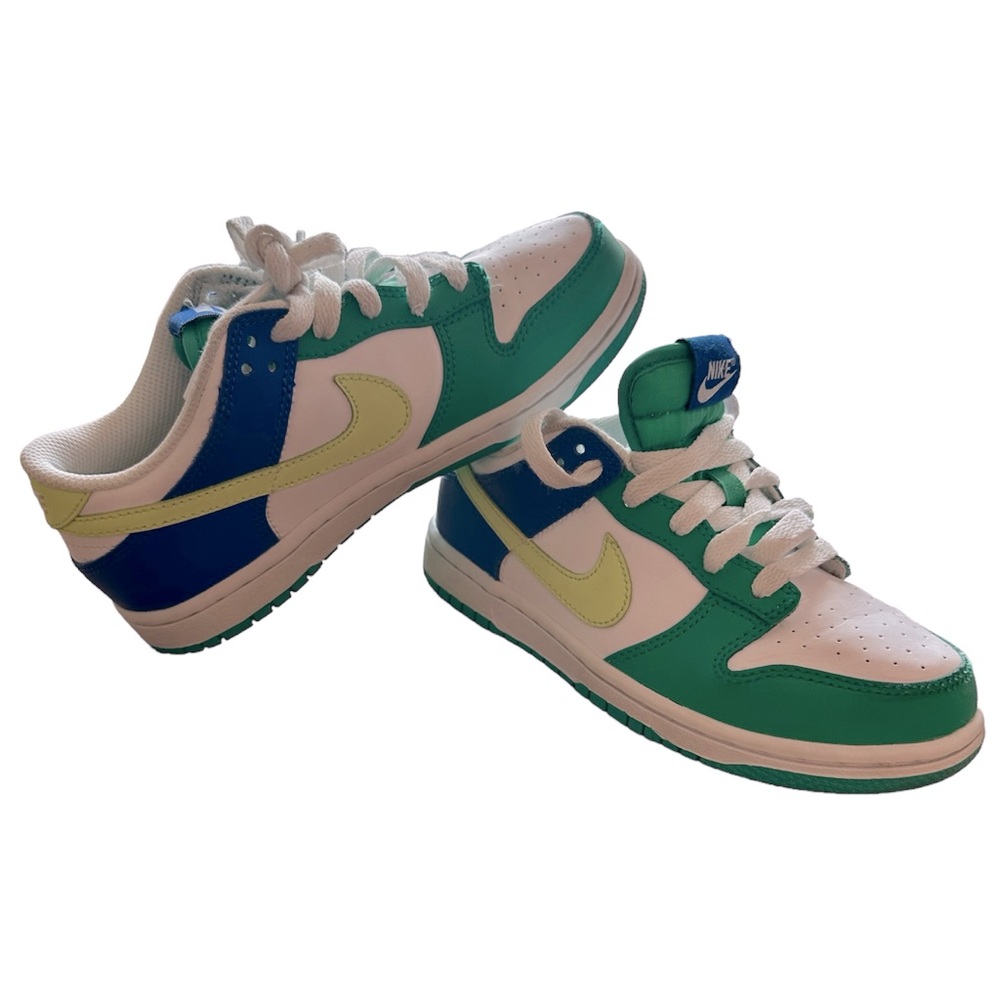 Boys Nike Low Dunks Size 2Y